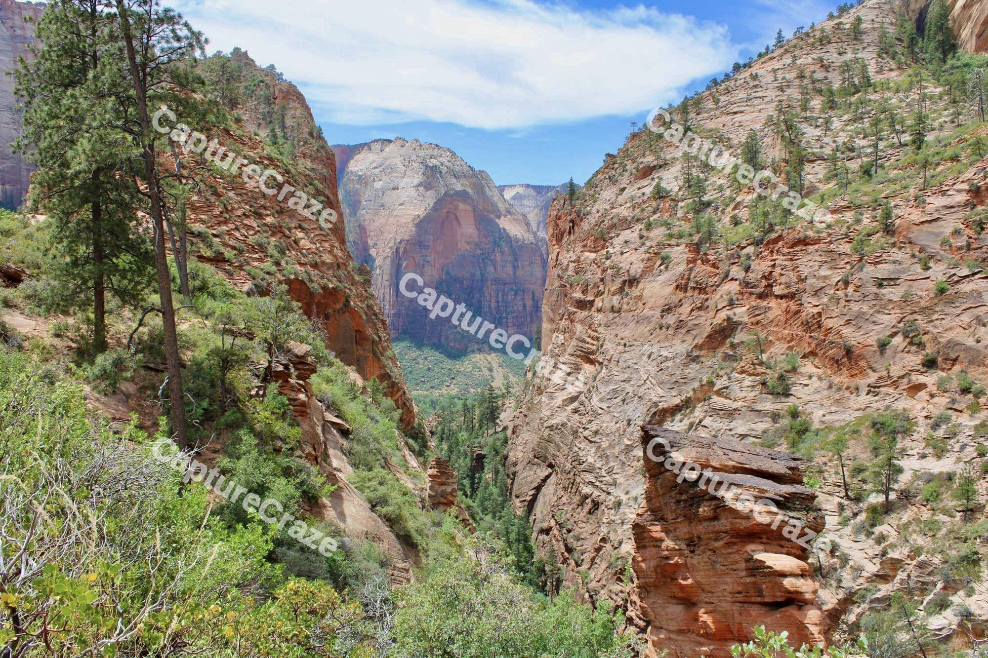 Mountains